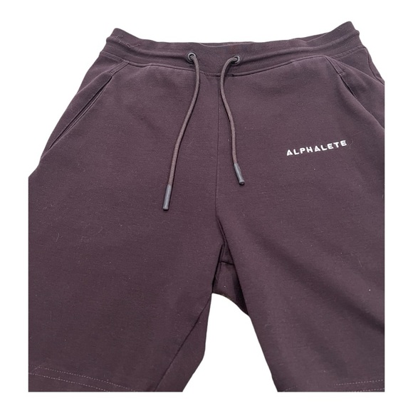 Alphalete Shorts dark plum color Stretch Waistband Drawstring waist mens size M - Picture 8 of 10